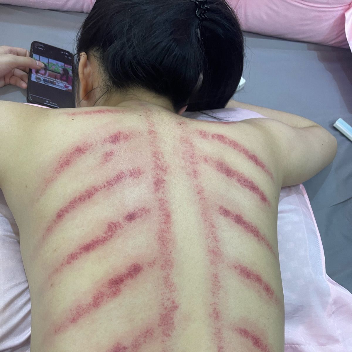 Ảnh mô tả số 4 Thỏ