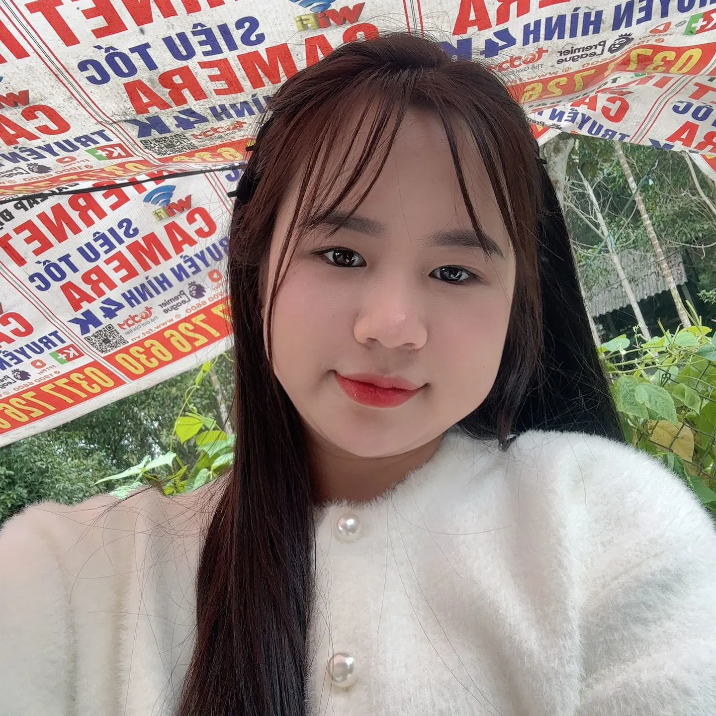 Ảnh mô tả số 4 Mango