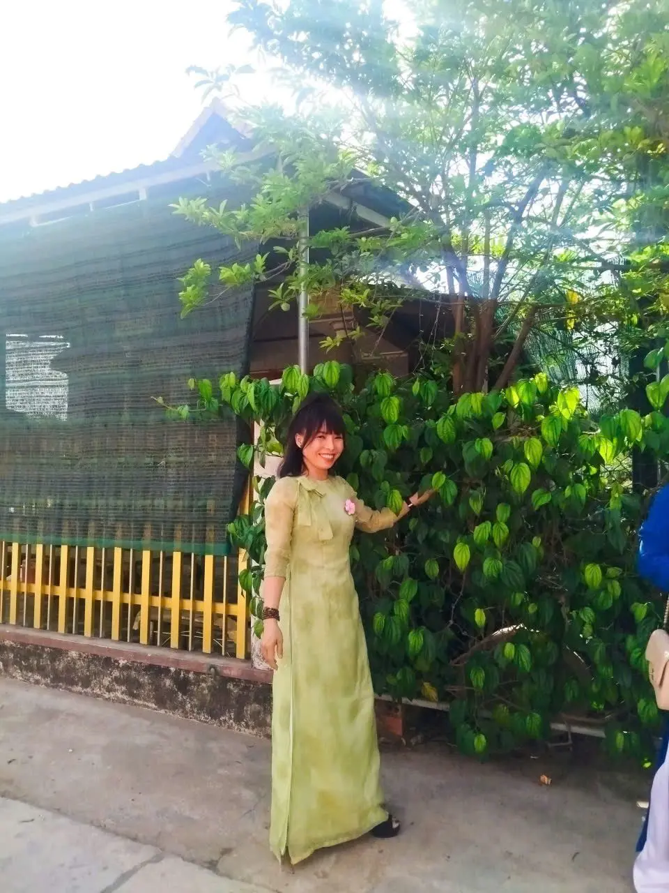 Ảnh mô tả số 4 Lê Thi Hoa