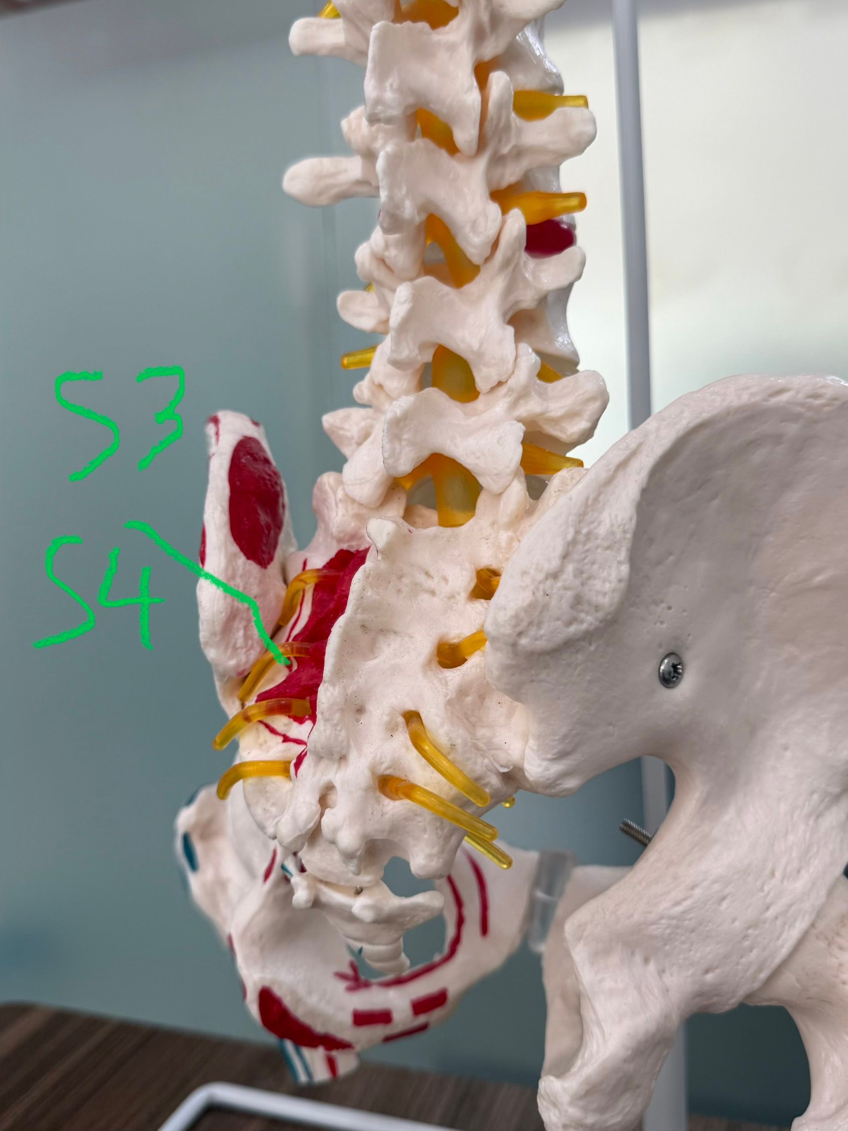 Ảnh mô tả số 2 Nguyễn Đình Hùng
