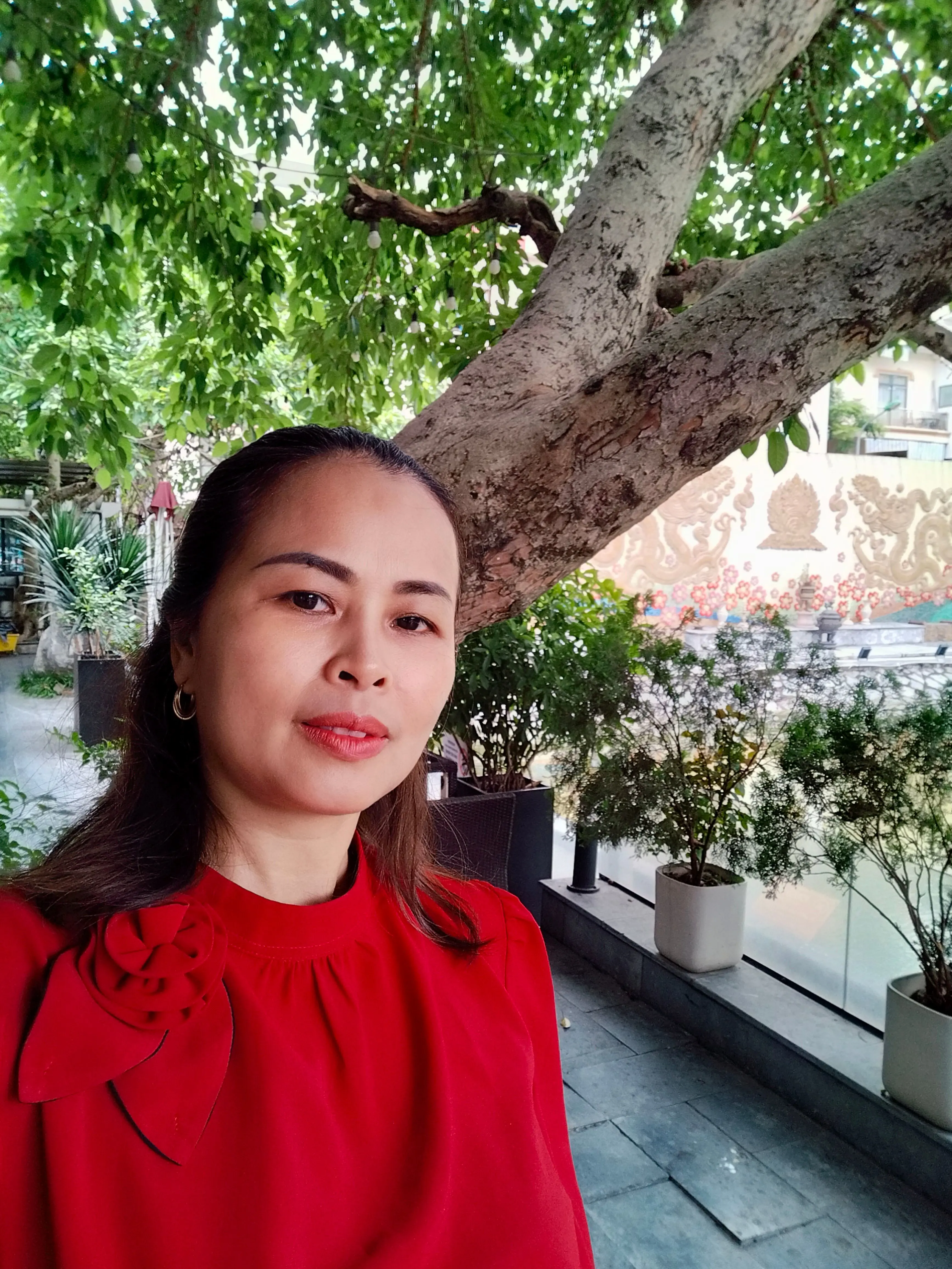 Ảnh mô tả số 6 Đào Nguyễn