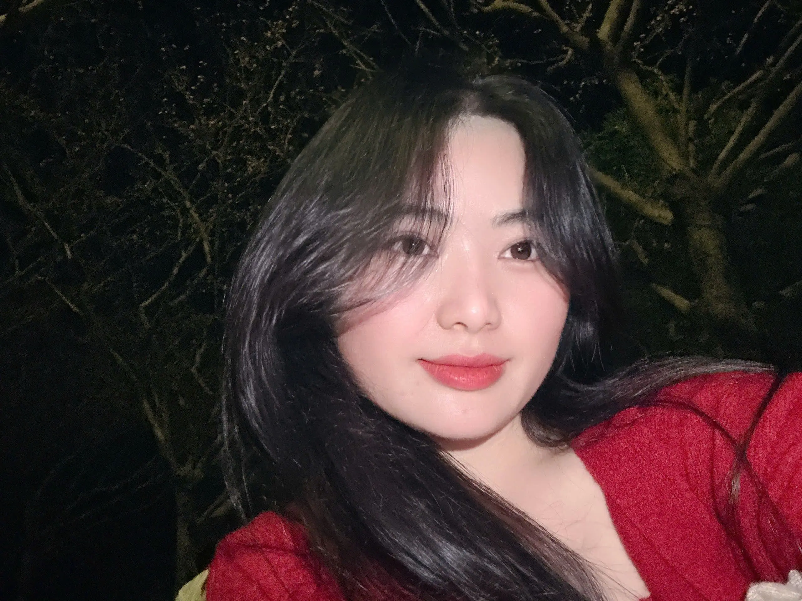 Ảnh mô tả số 2 Lan Mím