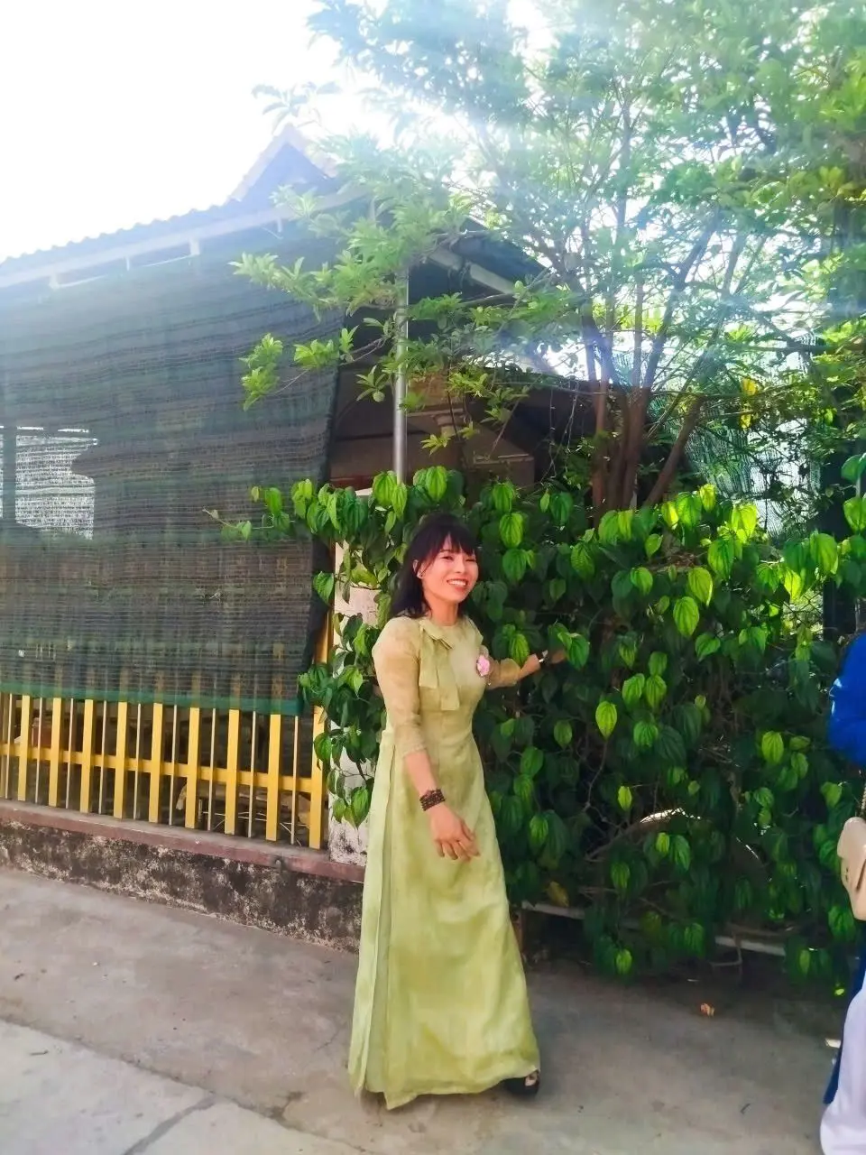 Ảnh mô tả số 3 Lê Thi Hoa