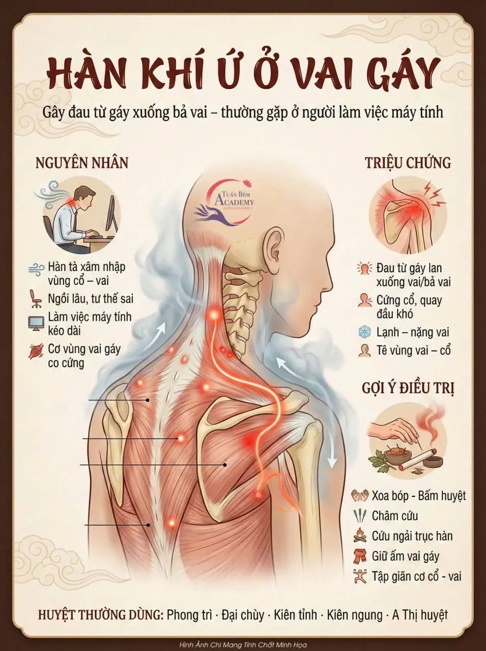 Ảnh mô tả số 3 Linh