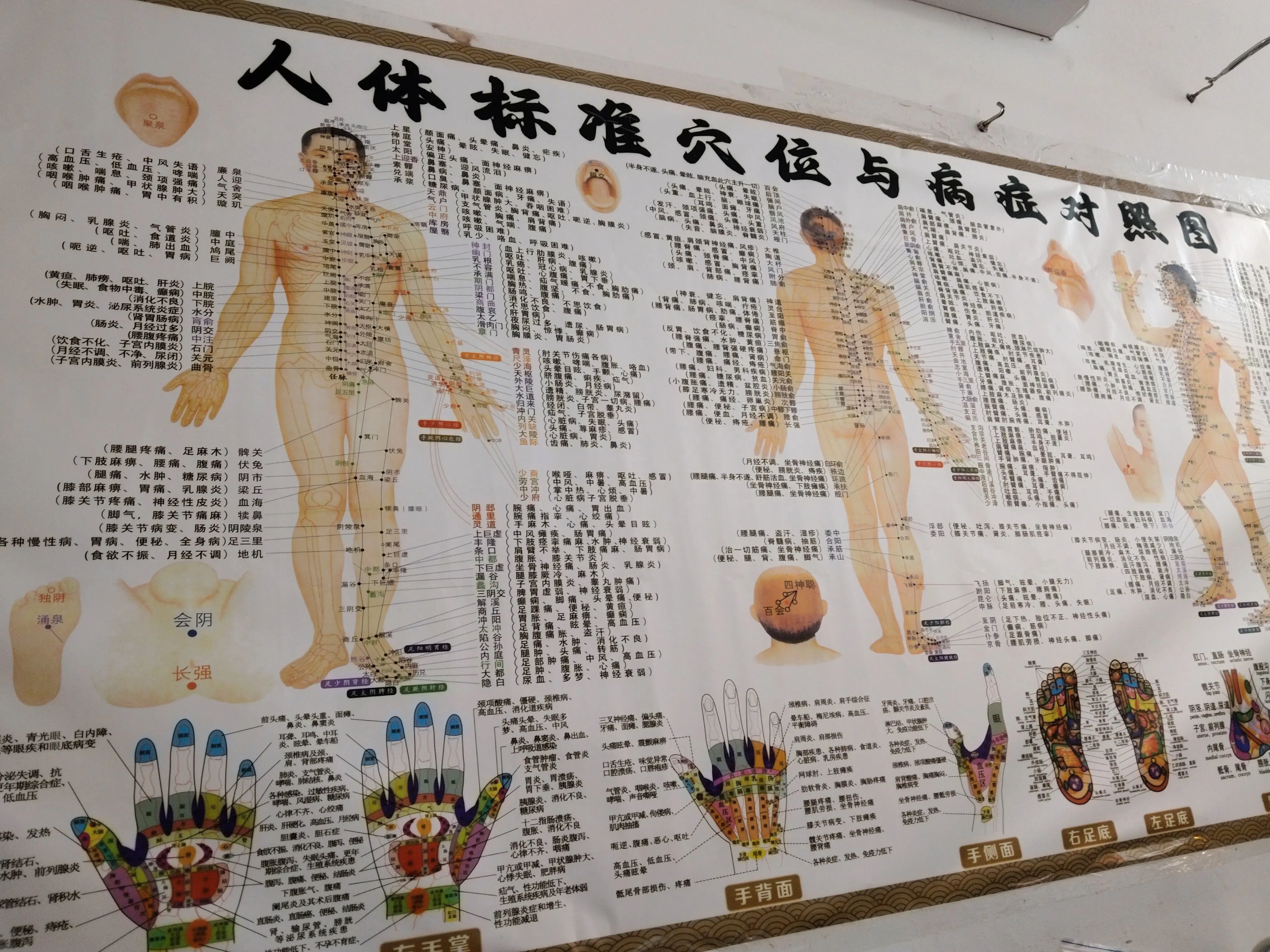 Ảnh mô tả số 6 Hảo Dưỡng sinh