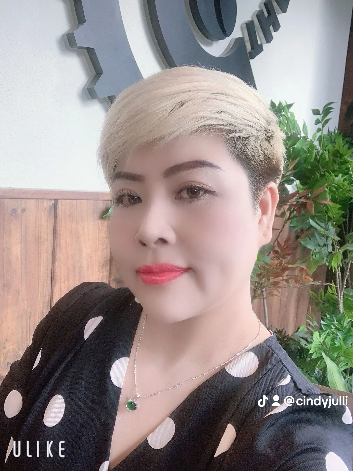 Ảnh mô tả số 3 Hồ thị xuân nương