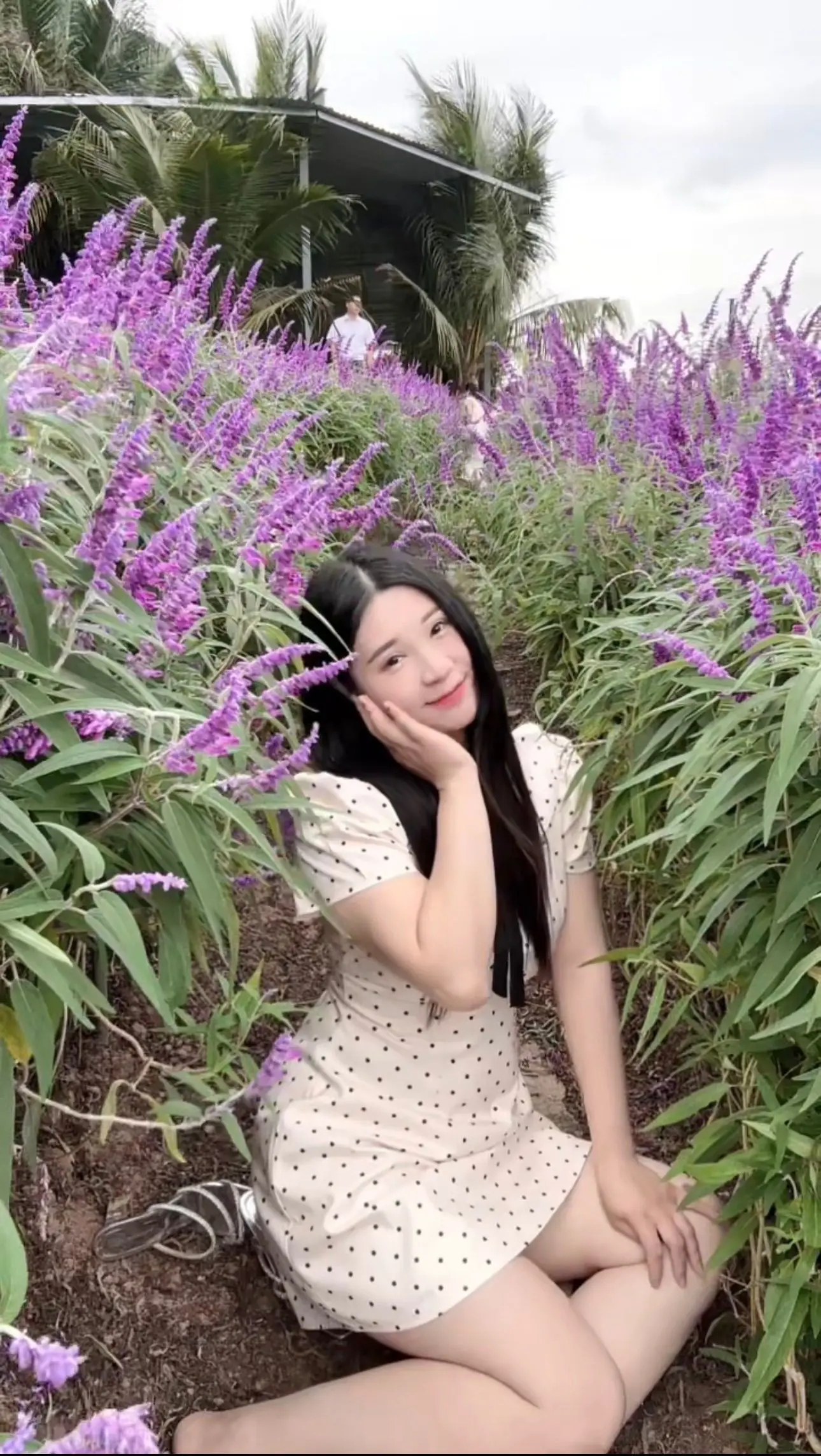 Ảnh mô tả số 2 Rosé Muội