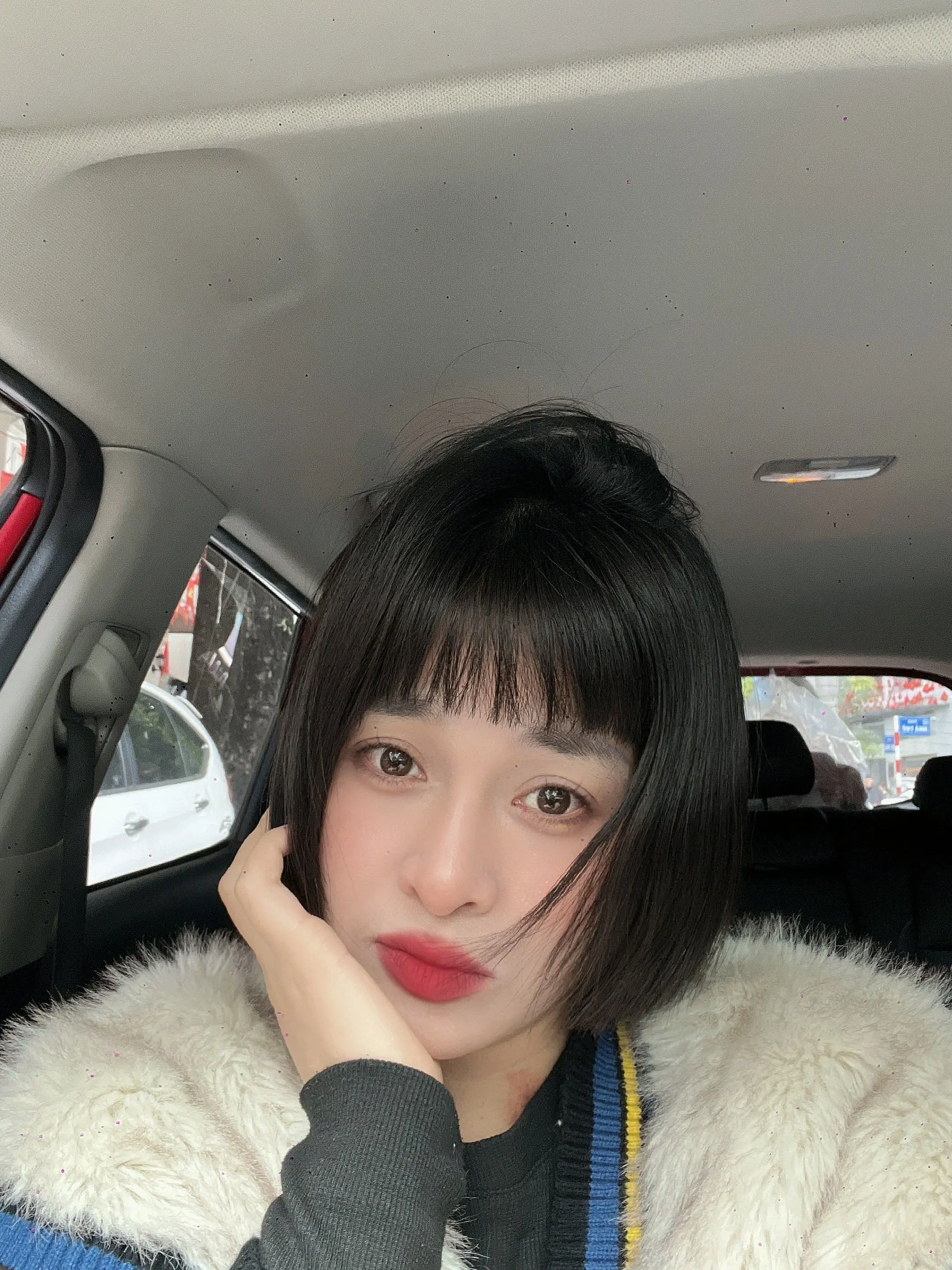 Ảnh mô tả số 4 Ngọc Linh