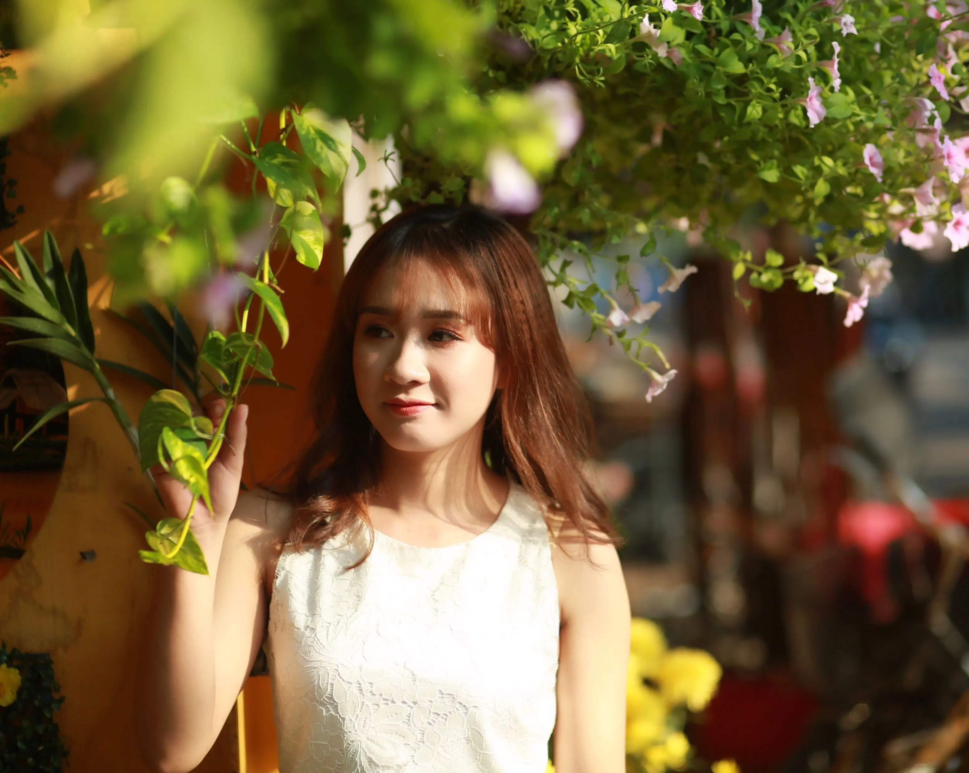 Ảnh mô tả số 2 Chipi